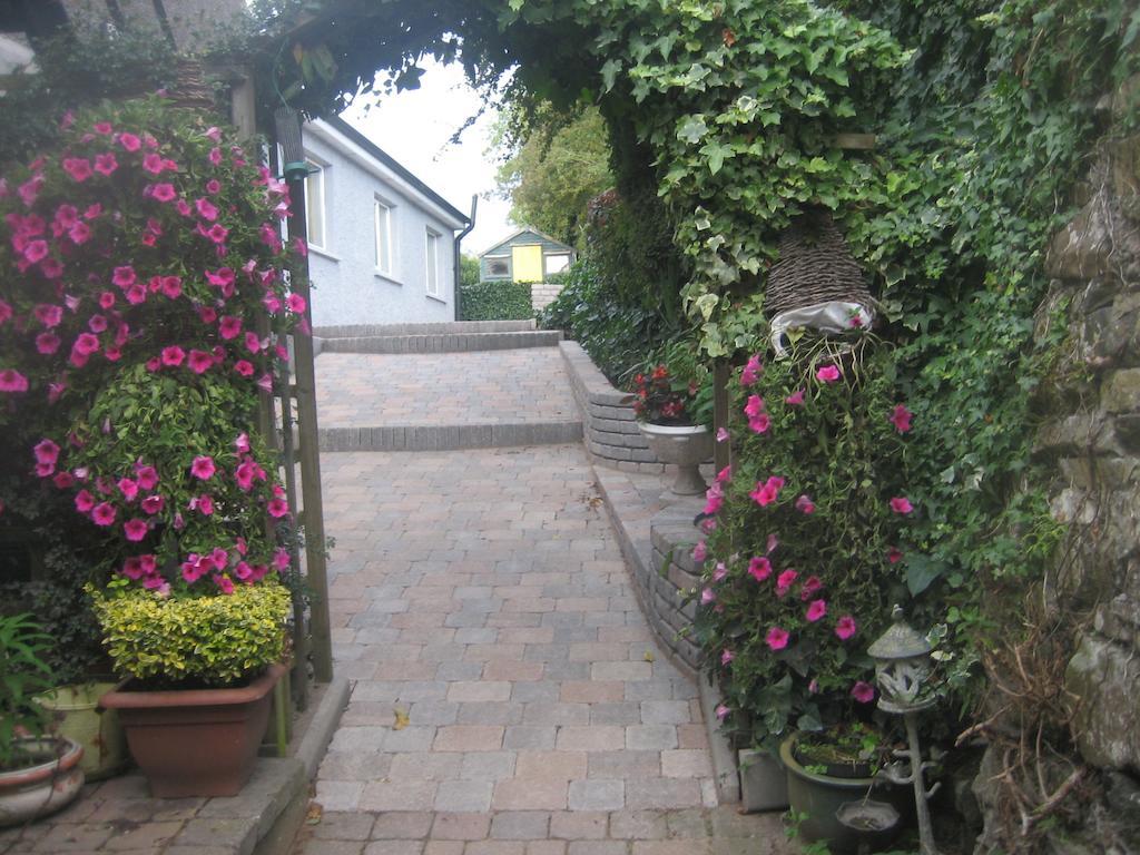 Ashleigh House Bed & Breakfast Monaghan Εξωτερικό φωτογραφία