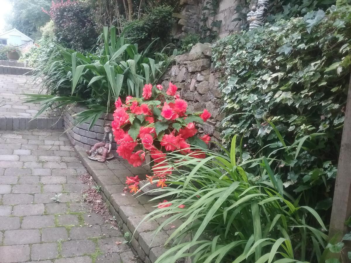 Ashleigh House Bed & Breakfast Monaghan Εξωτερικό φωτογραφία